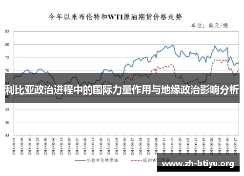 利比亚政治进程中的国际力量作用与地缘政治影响分析