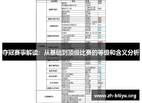夺冠赛事解读：从基础到顶级比赛的等级和含义分析