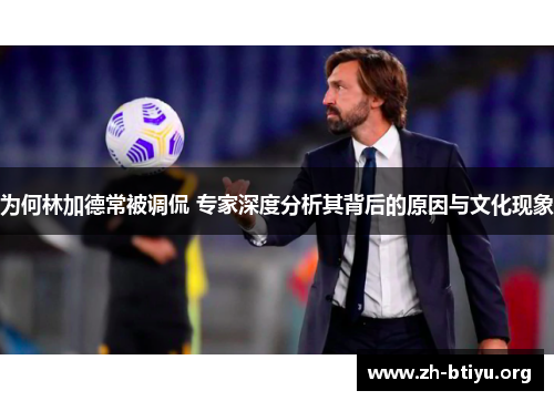 为何林加德常被调侃 专家深度分析其背后的原因与文化现象